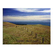 Kaikoura, New Zealand Post Card