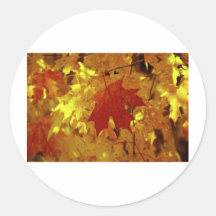 Kairos Fall Magic Stickers