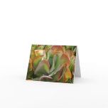 Kalanchoe notecard
