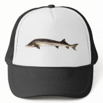 Kaluga Sturgeon Hat
