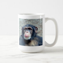 Kamil Abi - Chimpanzee Mugs