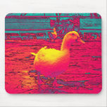 kanar mousepads