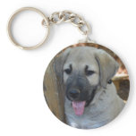 Kangal - Anatolian Sheep Dog Key Chain