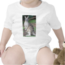Kangaroo and Joey Bodysuits