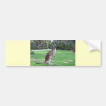 Kangaroo and Joey Bumper Sticker