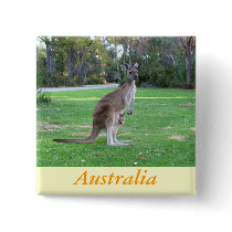 Kangaroo and Joey Pinback Buttons