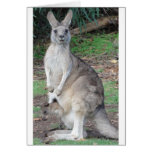 Kangaroo and Joey Cards