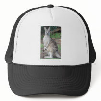Kangaroo and Joey Mesh Hats
