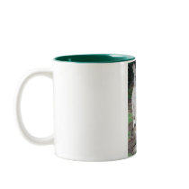 Kangaroo and Joey Mugs