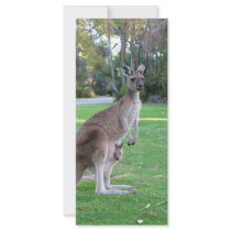 Kangaroo and Joey Personalized Rack Card