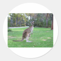 Kangaroo and Joey Sticker