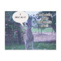 Kangaroo Defence Postcard