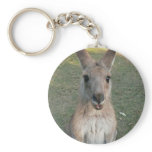 Kangaroo keychains