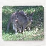 Kangaroo Mouse Mats