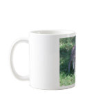 Kangaroo Coffee Mug