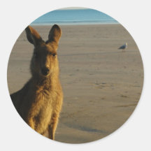 Kangaroo Photo Sticker