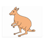 Kangaroo Postcards