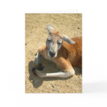 kangaroo praying card