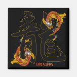Kanji Koi Fish Dragon Refrigerator Magnets