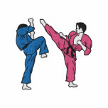 Karate Fighters embroidered shirts