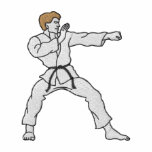 Karate Man embroidered shirts