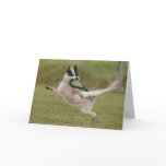 Karate', Photo Contest Winner cards