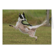 Karate', Photo Contest Winner Card
