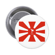 Karate Rays Pins