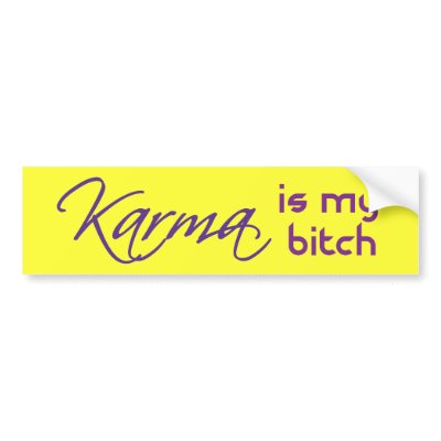 Karma is My Bitch Bumper Stickers by Errant
