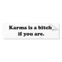 Karma is only a bitch bumper stickers