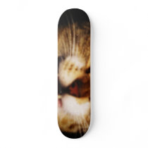 Kat Boarder Skateboard Decks