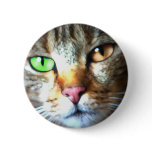 Kat buttons