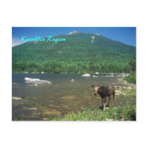 Katahdin Region Maine Postcards
