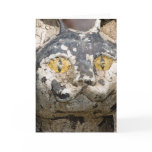 Kathe's Cat Looking At You Card