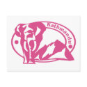 Kathmandu Stamp postcards
