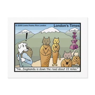 Katmandu & Dogmandu Cartoon Funny Postcards by beardiethor123