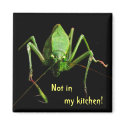 Katydid in the Kitchen magnets