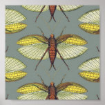 Katydid Poster