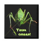 Katydid Think Green magnets