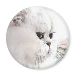 Katz magnets