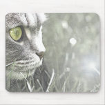 Katz mousepads