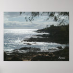 Kauai Coast posters