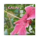 Kauai Hawaiian Tropical Flowers Hibiscus magnets