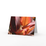 Kauai Lizard cards