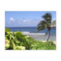 Kauai Postcards
