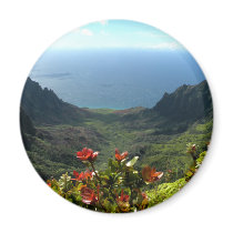 Kauai’s Na Pali Coast Magnet