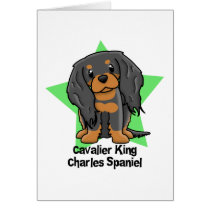 Kawaii Star B&T Cavalier King Charles Spaniel