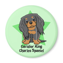 Kawaii Star B&T Cavalier King Charles Spaniel