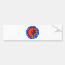 Kayak With Sol Bumper Stickers