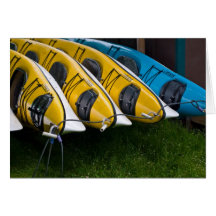 Kayaks Cards